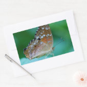 Schöner Danaus Plexippus Butterfly auf dem Leaf. Rechteckiger Aufkleber (Umschlag)