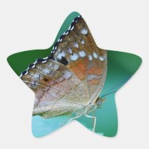 Schöner Danaus Plexippus Butterfly auf dem Leaf.