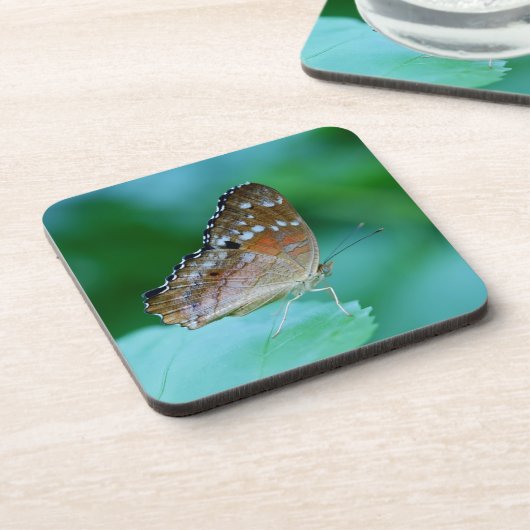 Schöner Danaus Plexippus Butterfly auf dem Leaf. Untersetzer (Linke Seite)