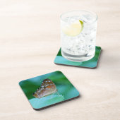 Schöner Danaus Plexippus Butterfly auf dem Leaf. Untersetzer (Rechte Seite)