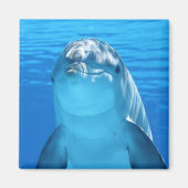 Schöner Delphin Magnet (Vorne)