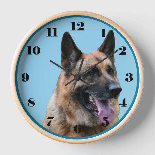 Schöner deutscher Schäferhund, blauer Hintergrund Uhr (Vorderseite)