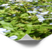 Schöner Deutscher Schäferhund Poster (Ecke)