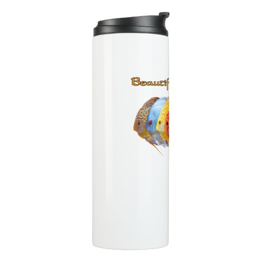 Schöner Discus Fish Thermal Tumbler Thermosbecher (Nach links gedreht)