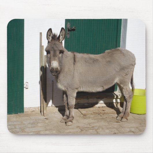 Schöner Donkey Mousepad (Vorne)
