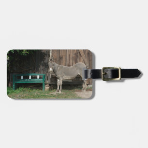 Schöner Donkey neben der hölzernen grünen Bank Gepäckanhänger