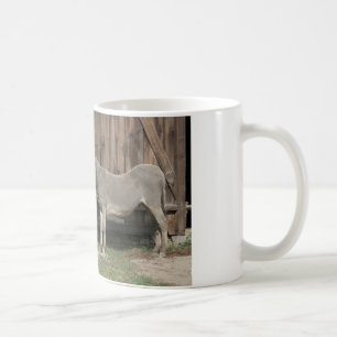 Schöner Donkey neben der hölzernen grünen Bank Kaffeetasse