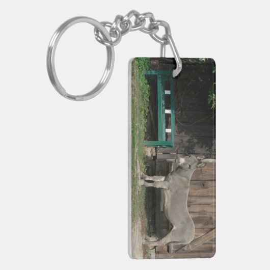 Schöner Donkey neben der hölzernen grünen Bank Schlüsselanhänger (Vorderseite links)