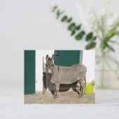 Schöner Donkey Postkarte (Stehend Vorderseite)