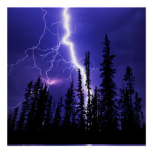 schöner Donner über dem Wald Poster