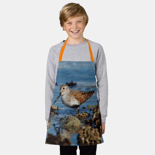 Schöner Dunlin Sandpiper Goes Solo am Strand Schürze (Getragen)