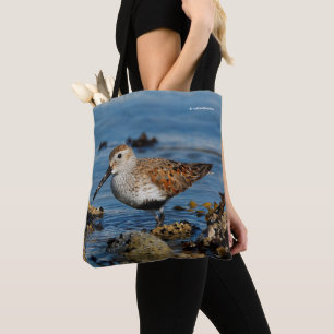 Schöner Dunlin Sandpiper Goes Solo am Strand Tasche