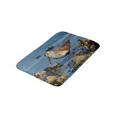 Schöner Dunlin Shorebird am Strand Badematte (Schrägansicht)