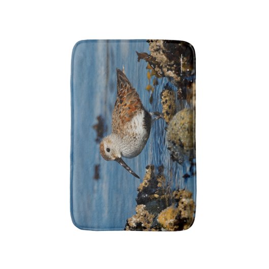 Schöner Dunlin Shorebird am Strand Badematte (Vorderseite Vertikal)