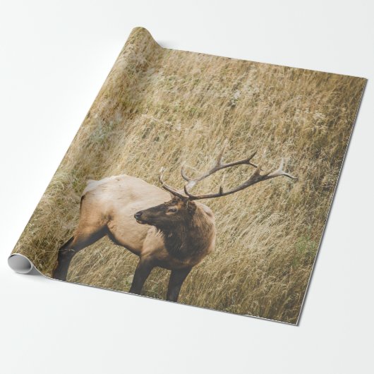 SCHÖNER ELCHHIRSCH GESCHENKPAPIER (Ungerollt)