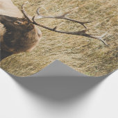 SCHÖNER ELCHHIRSCH GESCHENKPAPIER (Ecke)