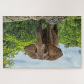 Schöner Elefant im Gras spielen Puzzle (Horizontal)