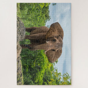 Schöner Elefant im Gras spielen Puzzle