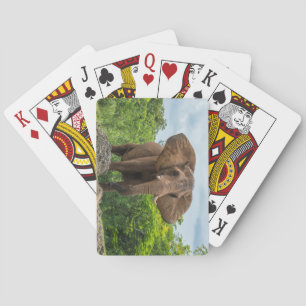 Schöner Elefant im Gras spielen Spielkarten