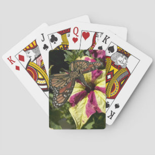 Schöner Elefantenschmetterling Spielkarten