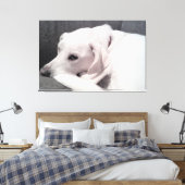 Schöner, eleganter weißer Hund Exquisite Leinwanddruck (Insitu (Schlafzimmer))
