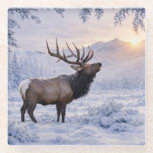 Schöner Elk im Schnee Kunst Glasuntersetzer