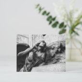 Schöner Engel mit ruhigem Blick in den Himmel Postkarte (Stehend Vorderseite)