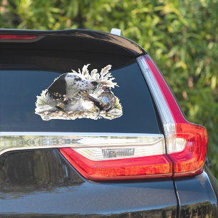 Schöner englischer Setter mit Pheasant , Kunst Aufkleber