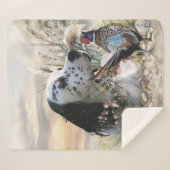 Schöner englischer Setter mit Pheasant , Kunst Sherpadecke (Vorderseite (Horizontal))