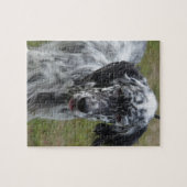 Schöner englischer Setzer-Hund Puzzle (Horizontal)