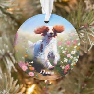 Schöner English Setter Ornament