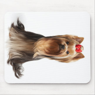 Schöner entzückender Hund Mousepad