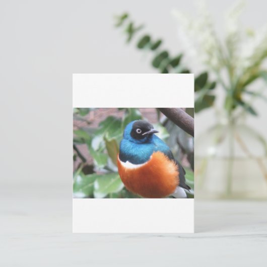 Schöner exotischer Vogel Postkarte (Stehend Vorderseite)