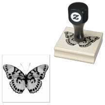 Schöner Extravaganter Schmetterling II