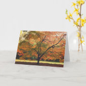 Schöner Fall-Baum Karte (Gelbe Blume)