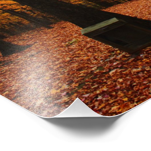 Schöner Fall Fotodruck (Ecke)