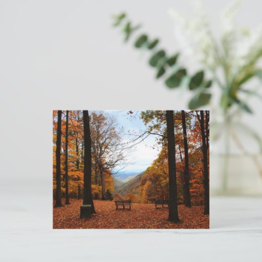Schöner Fall Postkarte (Stehend Vorderseite)