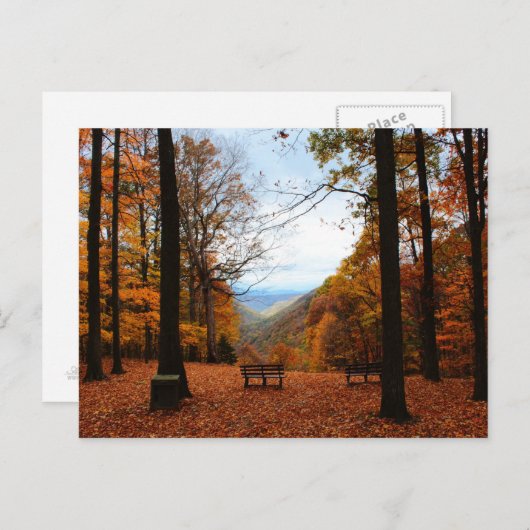 Schöner Fall Postkarte (Vorne/Hinten)