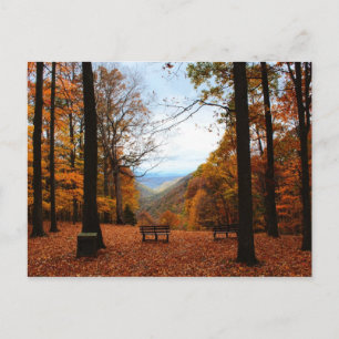 Schöner Fall Postkarte