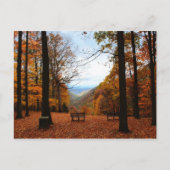 Schöner Fall Postkarte (Vorderseite)