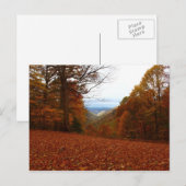Schöner Fall Postkarte (Vorne/Hinten)