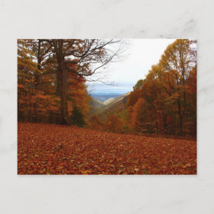 Schöner Fall Postkarte