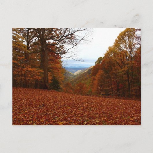 Schöner Fall Postkarte (Vorderseite)