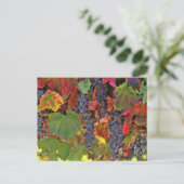 Schöner Fall Wein VIneyard Colored Postcard Postkarte (Stehend Vorderseite)