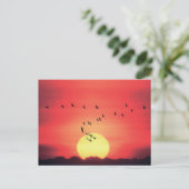Schöner, farbenfroher Sonnenuntergang mit fliegend Postkarte (Stehend Vorderseite)