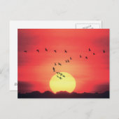Schöner, farbenfroher Sonnenuntergang mit fliegend Postkarte (Vorne/Hinten)