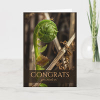 Schöner Farn überwinden die Glückwünsche des Winte