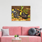 Schöner Feuersalamander Leinwanddruck (Insitu (Wohnzimmer))