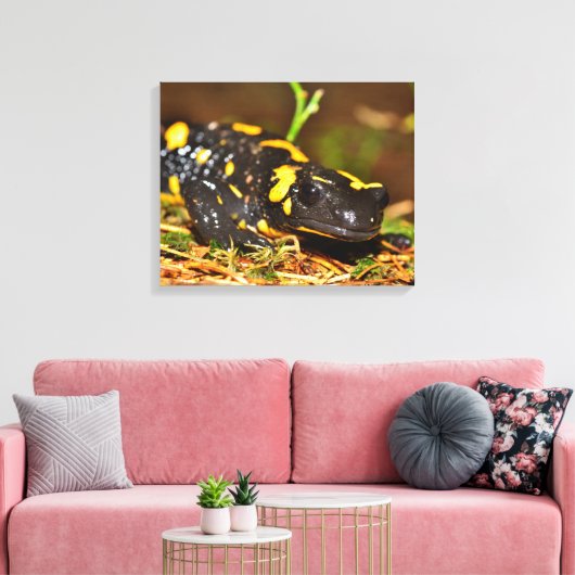 Schöner Feuersalamander Leinwanddruck (Insitu (Wohnzimmer))