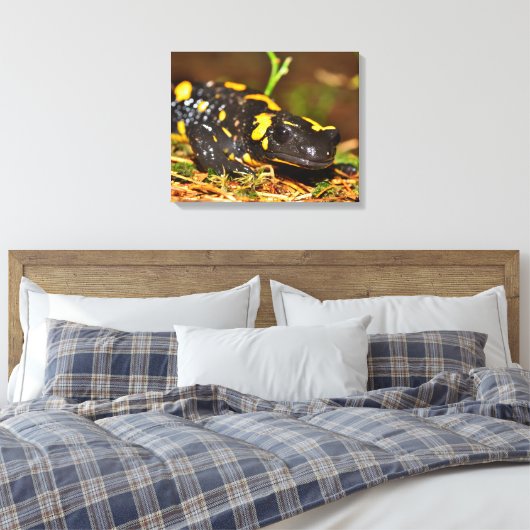 Schöner Feuersalamander Leinwanddruck (Insitu (Schlafzimmer))